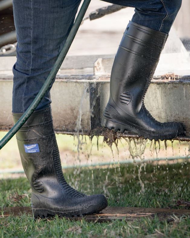 Blundstone safety gumboots best sale